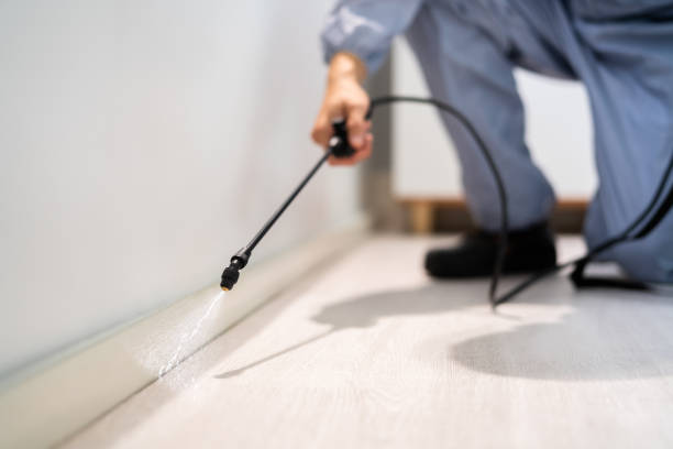 Licensed Termite Control service in Hillsville, VA - Nex Pest Control