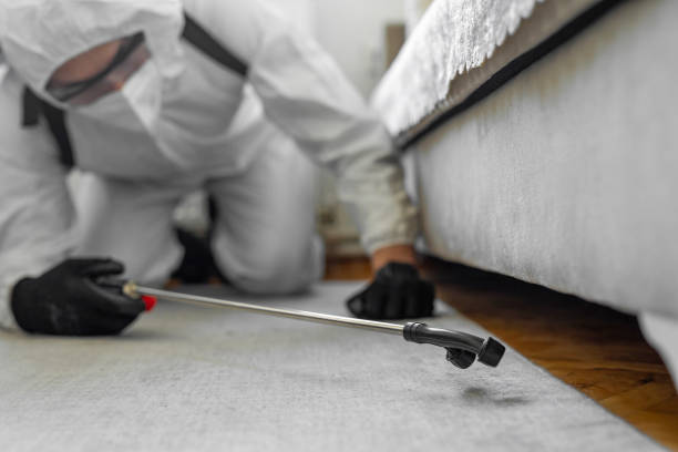 Professional Termite Control technician working in Hillsville, VA