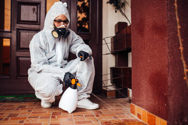 Reliable Termite Control contractor in Hillsville, VA by Nex Pest Control