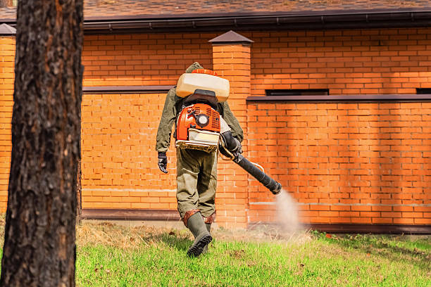 Trusted Termite Control service in Hillsville, VA - Nex Pest Control